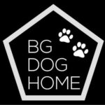 Bg dog home