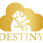 Destiny-Logo-Sito